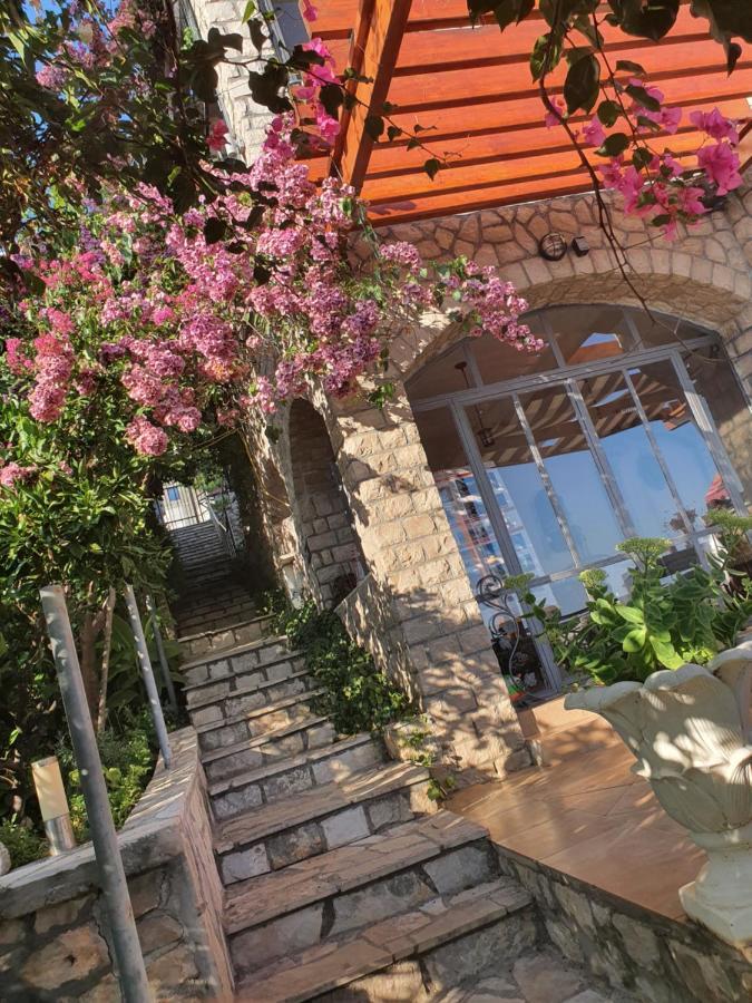 Vila Vito Lägenhet Dobra Voda Exteriör bild